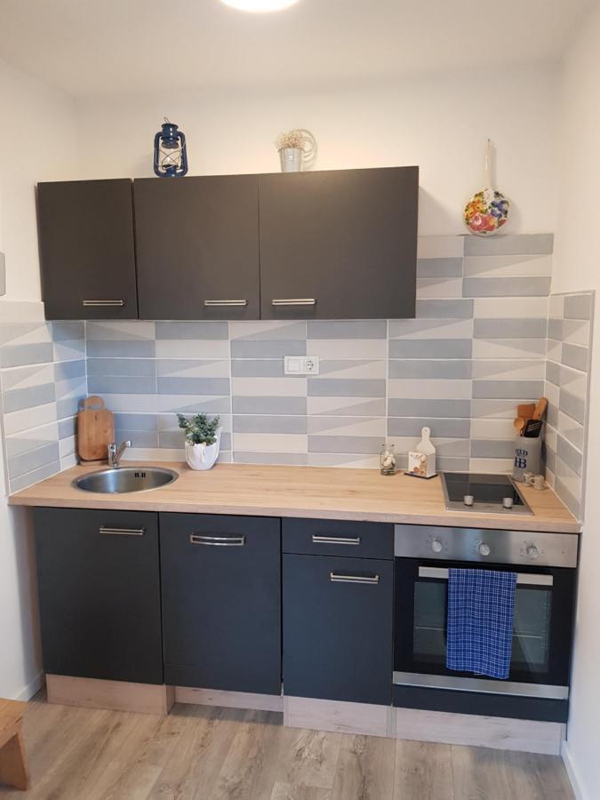Apartment Alka Zaboric